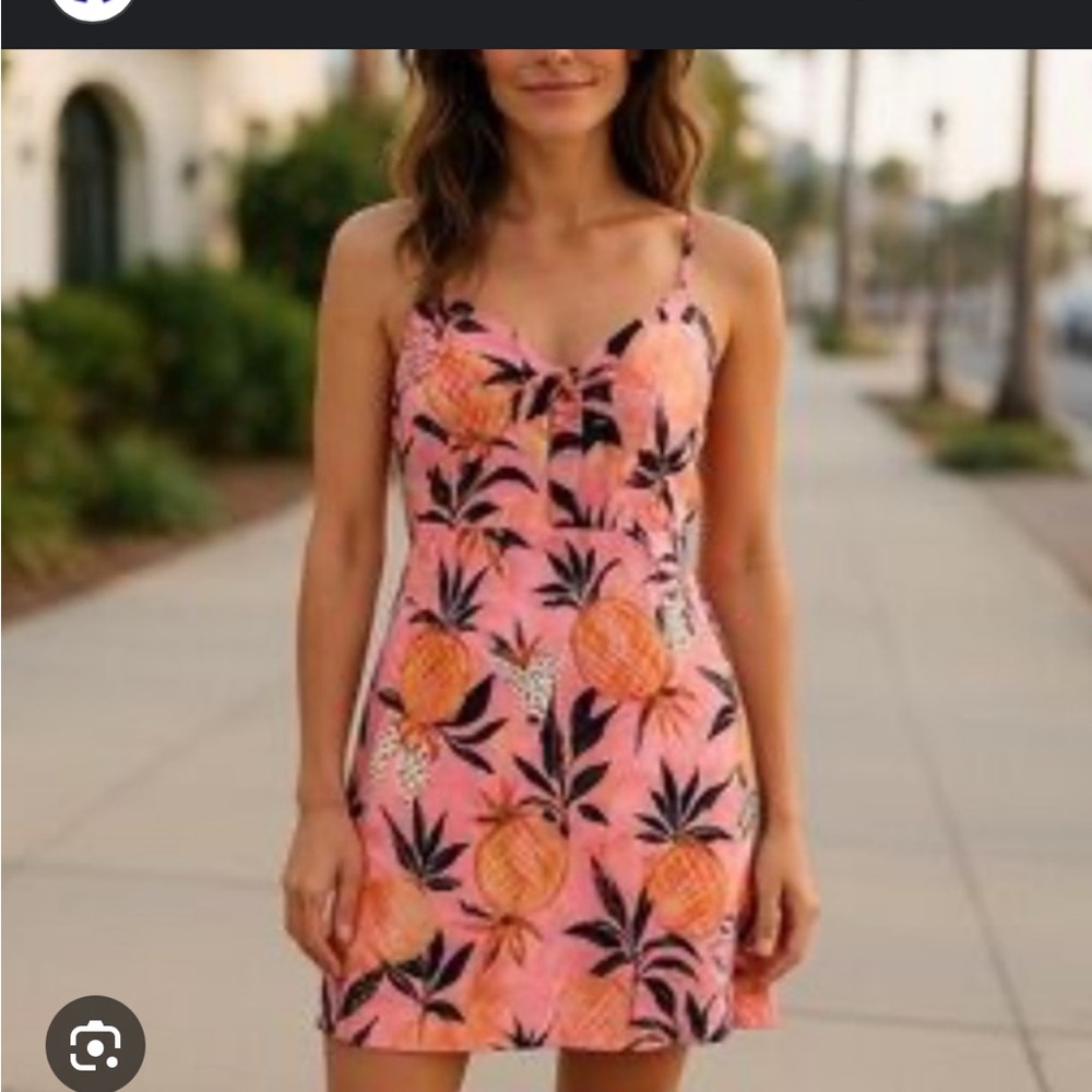 Farm Rio Sleeveless Pink Pineapple Mini Dress Size L